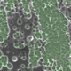 Nom nom nom nom: An electron microscope image showing the enzyme (green) interaction with plastic (grey).